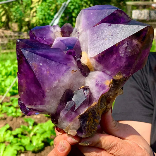 Huge XXL Natural Uruguay Amethyst Cluster Quartz