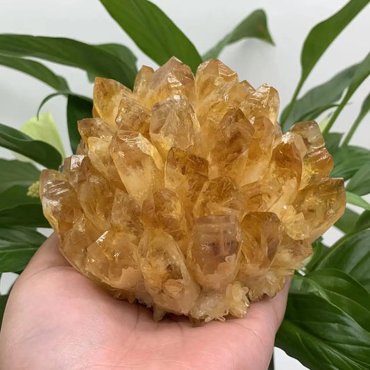 Natural Raw Citrine Quartz Crystal Cluster